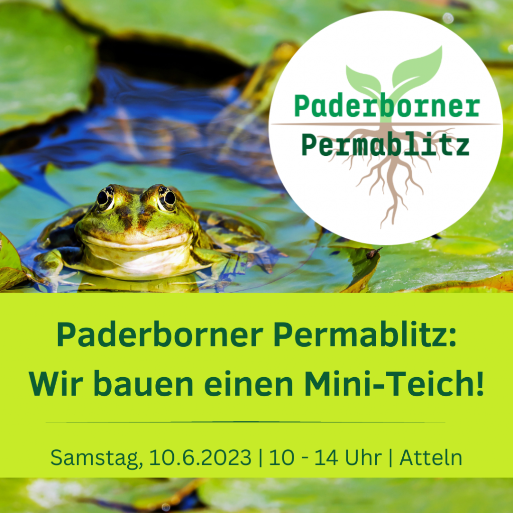 1. Paderborner Permablitz: Wir bauen einen Mini-Teich am 10.06.2023