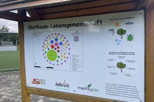 Obstbaum-Lebensgemeinschaft in Ostenland – zwei Tage Permakultur-Abenteuer in der Schule