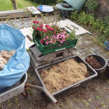 Vorbereitung: Material zusammenstellen