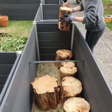 Morsches Holz als Langzeitdünger und Wasserspeicher