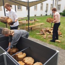 Morsches Holz als Langzeitdünger und Wasserspeicher