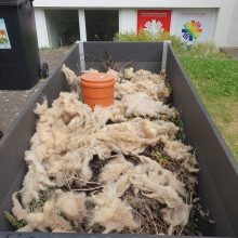Schafwolle als Dünger und Wasserspeicher