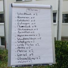 Pflanzen-Liste